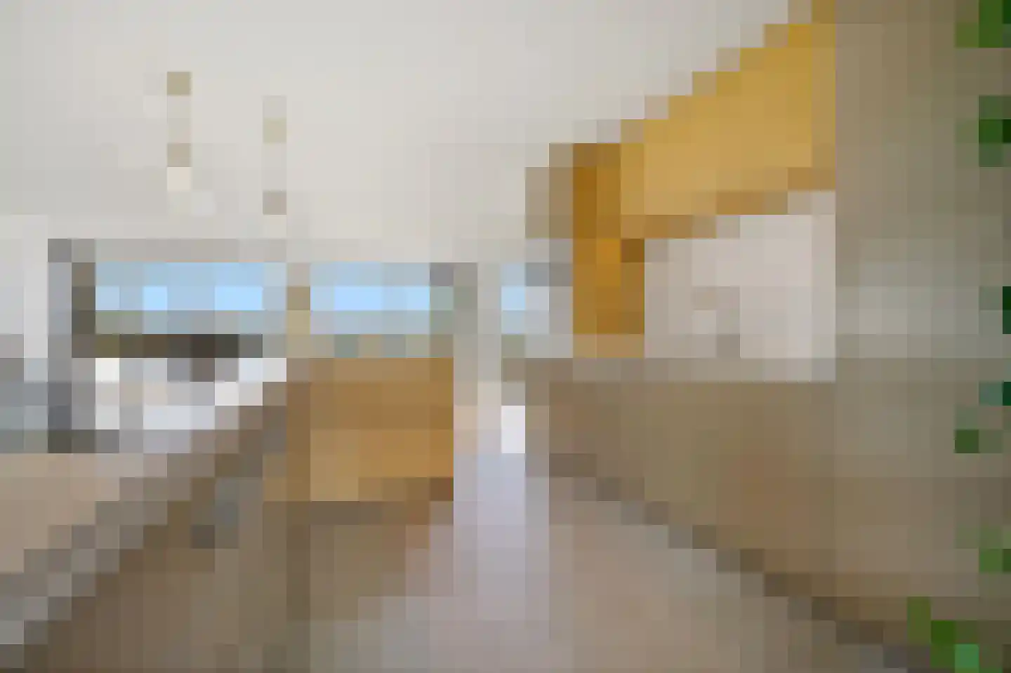 Zeekant 50 B Den Haag thumbnail 16