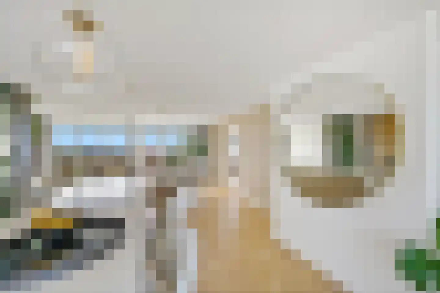 Zeekant 50 B Den Haag thumbnail 18