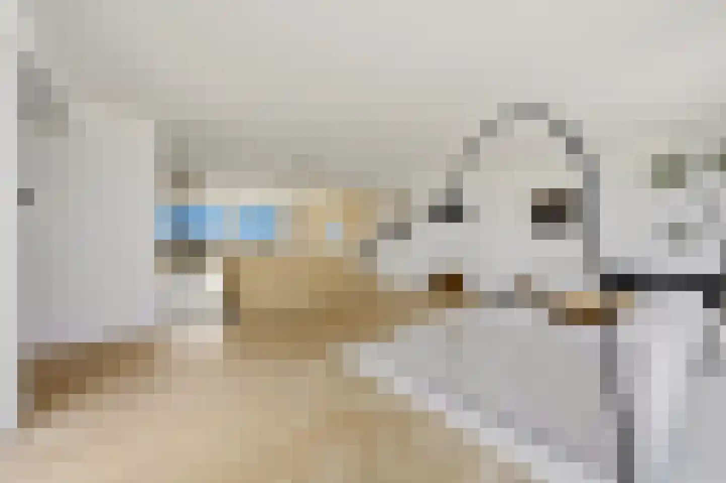 Zeekant 50 F Den Haag thumbnail 14