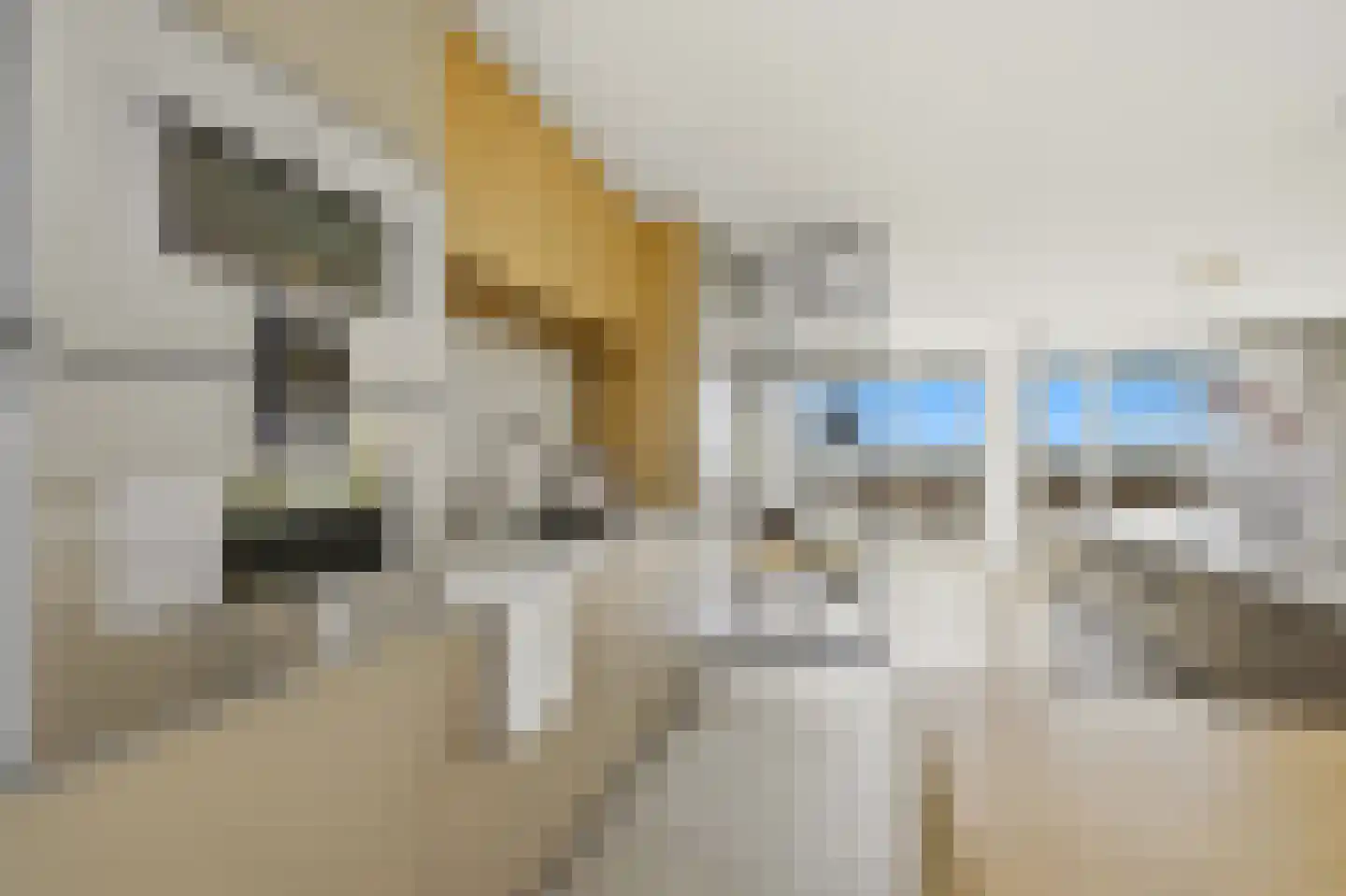 Zeekant 50 F Den Haag thumbnail 26