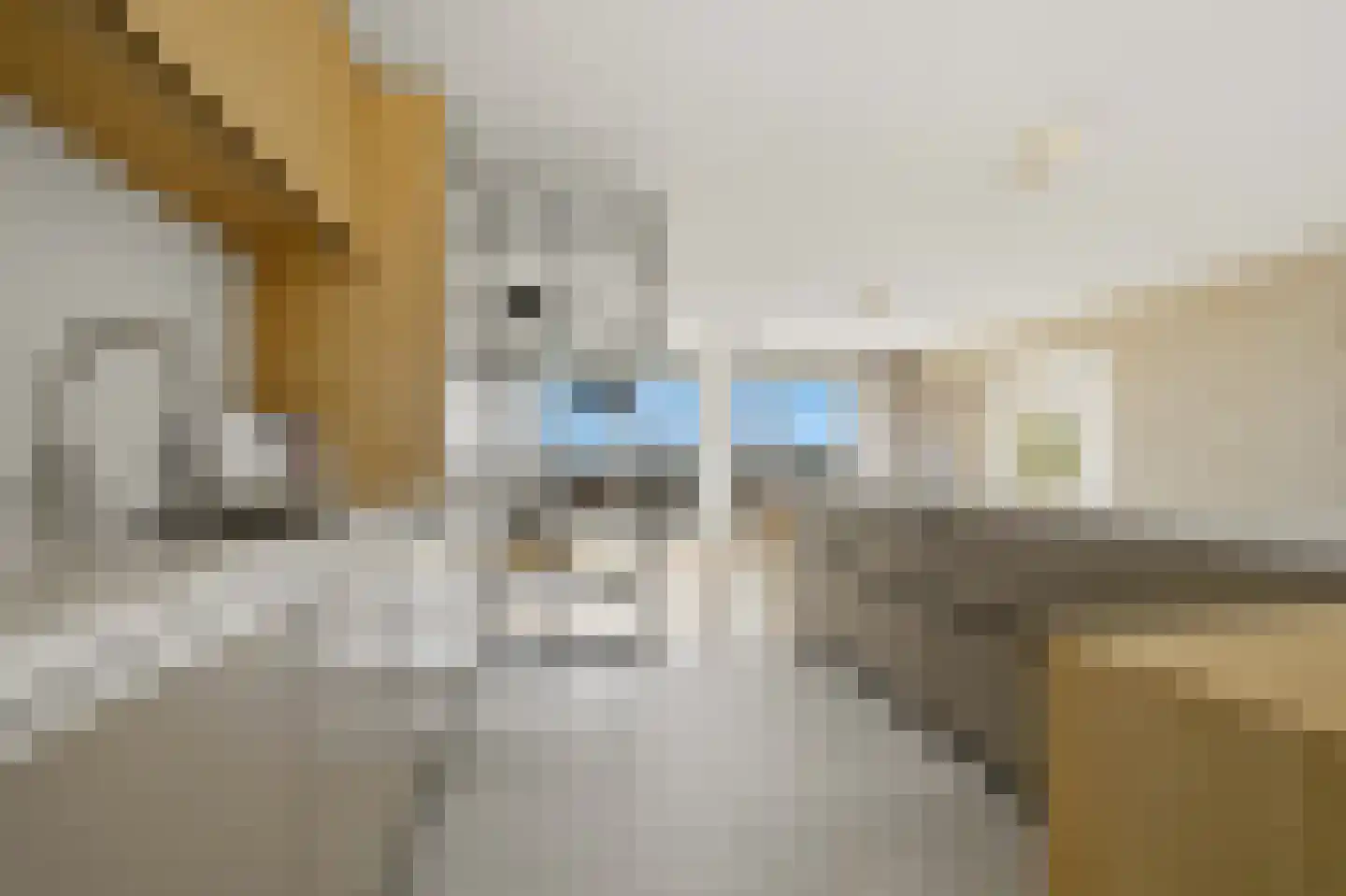 Zeekant 50 F Den Haag thumbnail 28