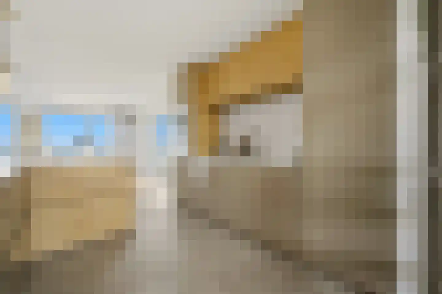Zeekant 50 F Den Haag thumbnail 29