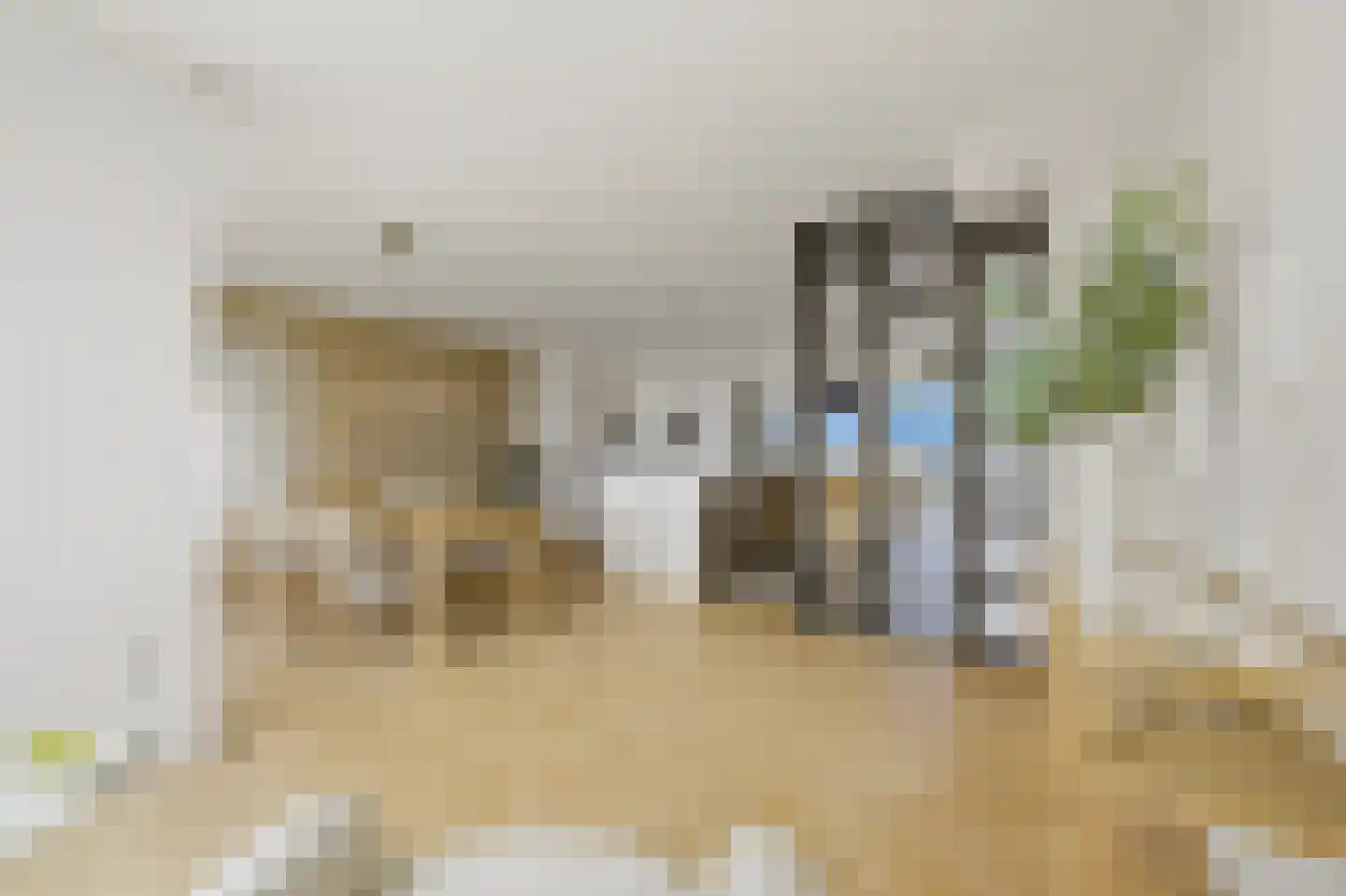Zeekant 50 F Den Haag thumbnail 33