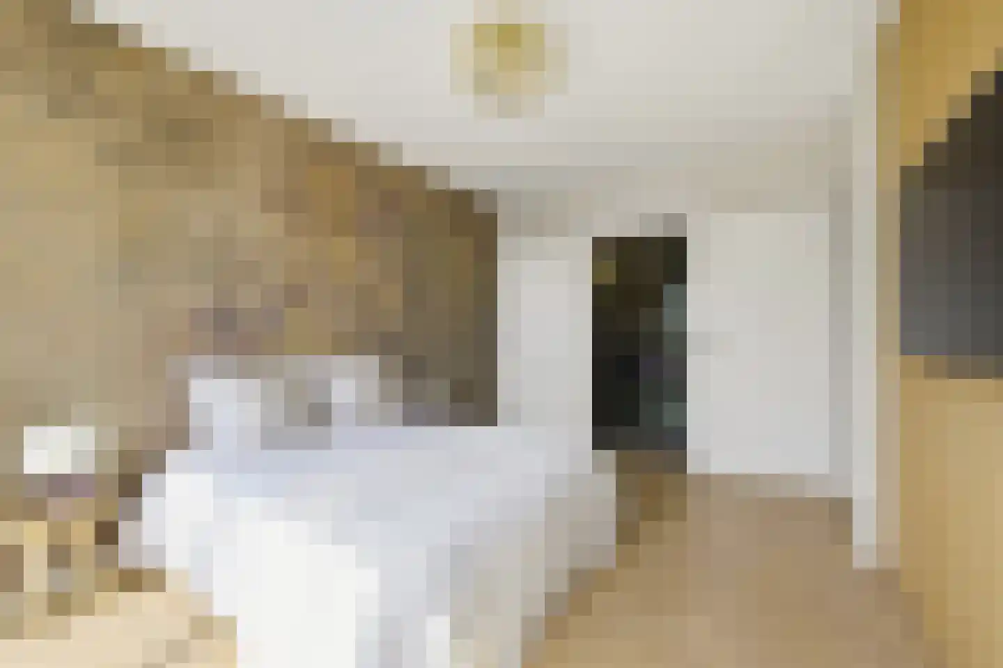Zeekant 50 F Den Haag thumbnail 51