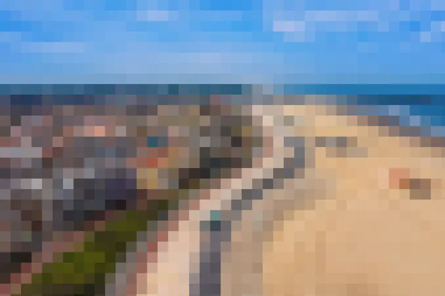Zeekant 50 F Den Haag thumbnail 70