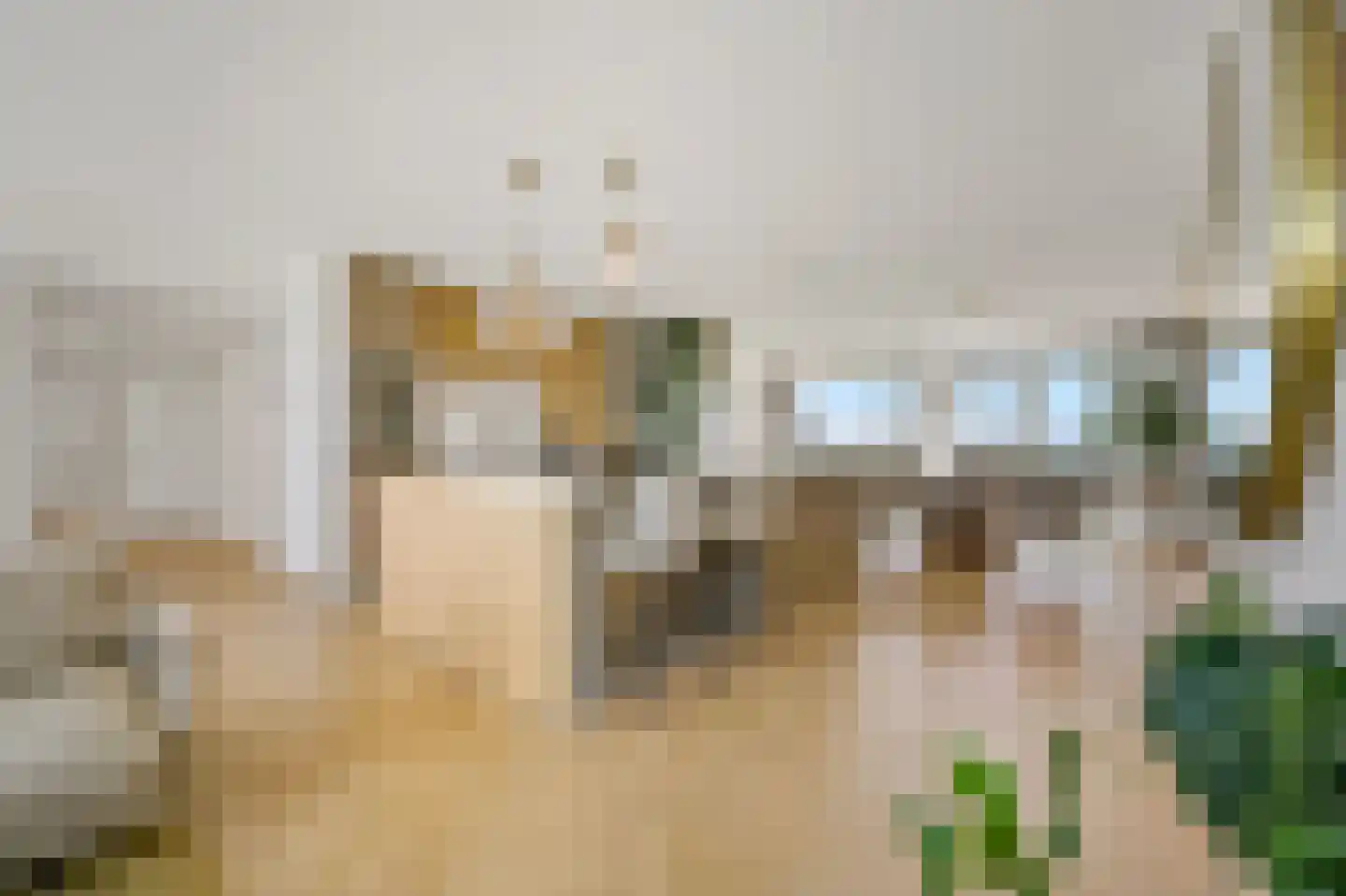 Zeekant 50 M Den Haag thumbnail 13