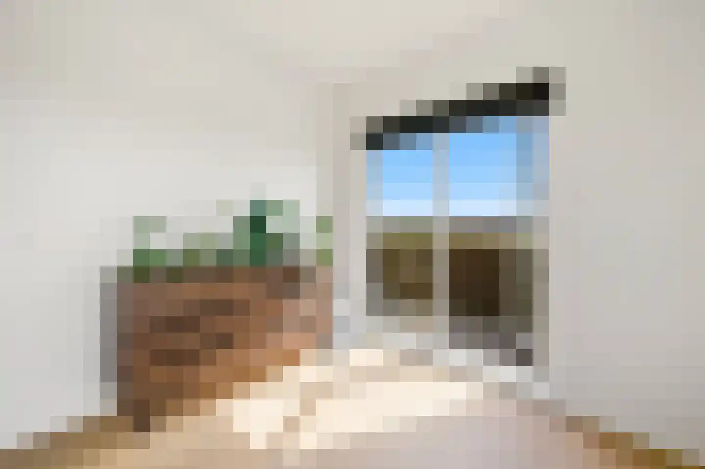 Zeekant 50 M Den Haag thumbnail 28