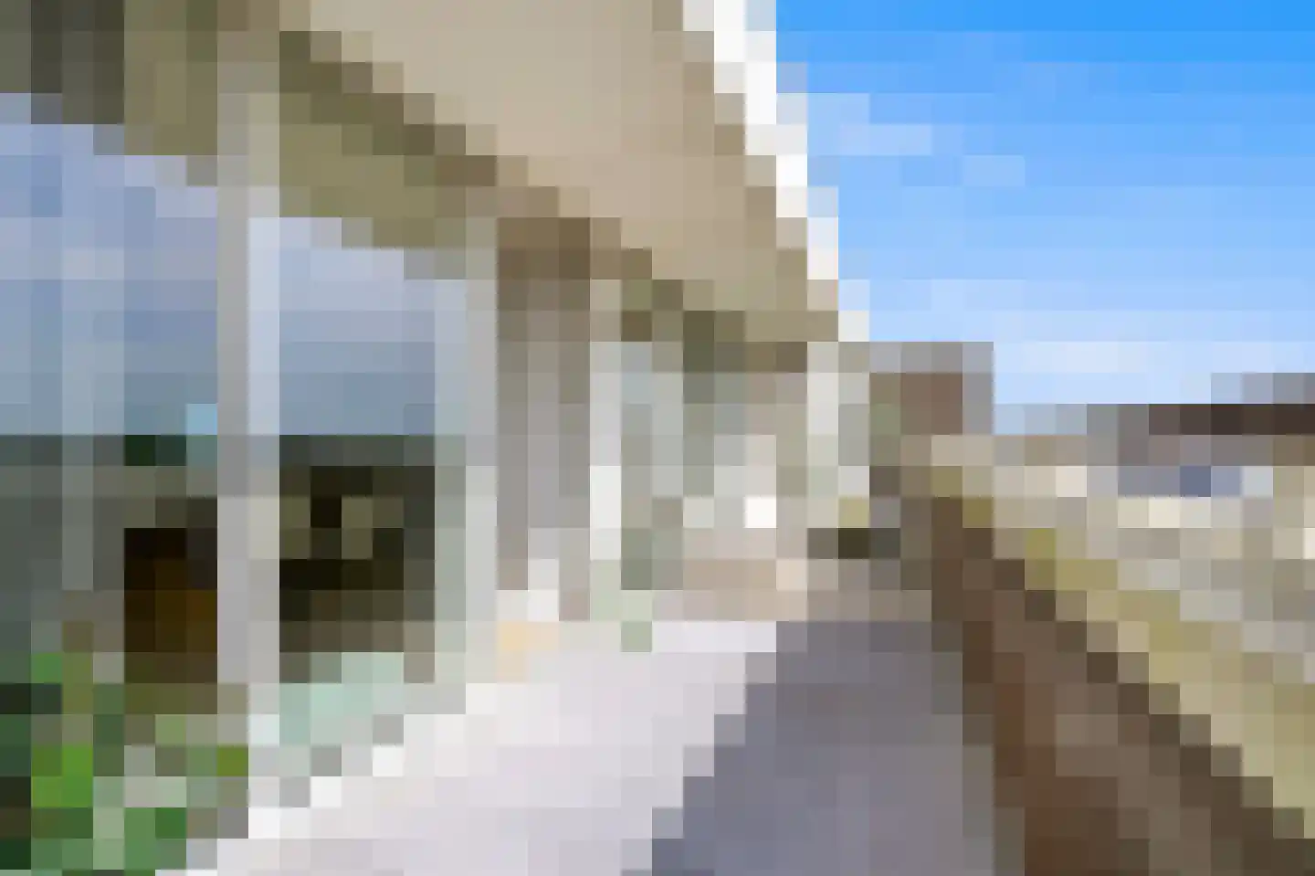 Zeekant 50 M Den Haag thumbnail 29