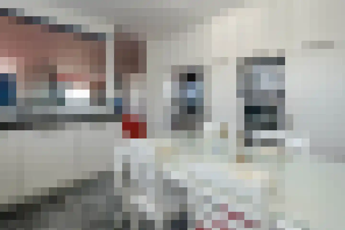 Zeekant 65 Den Haag thumbnail 26