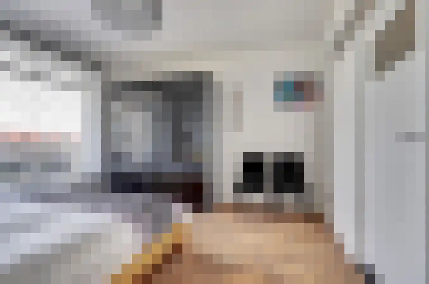 Zeekant 92 F Den Haag thumbnail 5