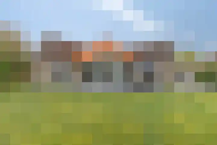 Zeekoet 13 Zoutelande