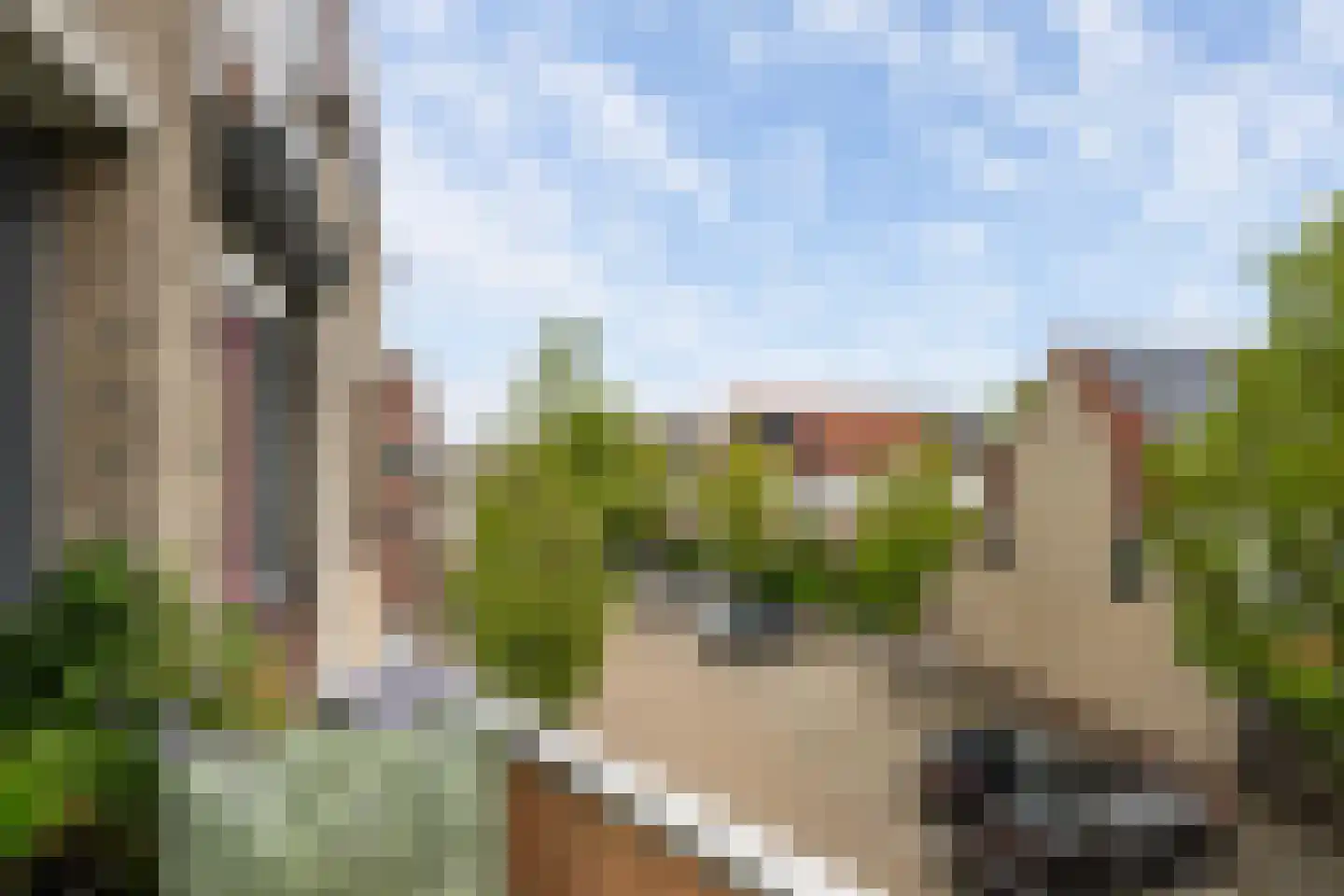 Zeekoet 46 Monster thumbnail 14