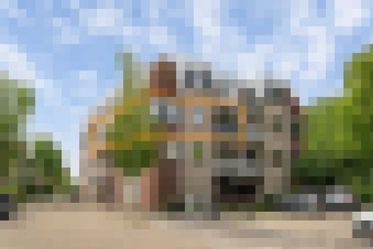 Zeekoet 46 Monster thumbnail 23