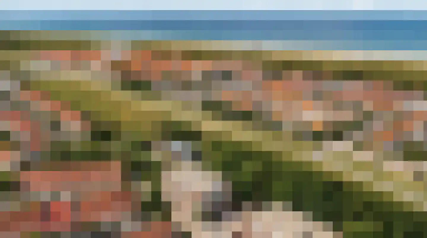 Zeekoet 46 Monster thumbnail 26