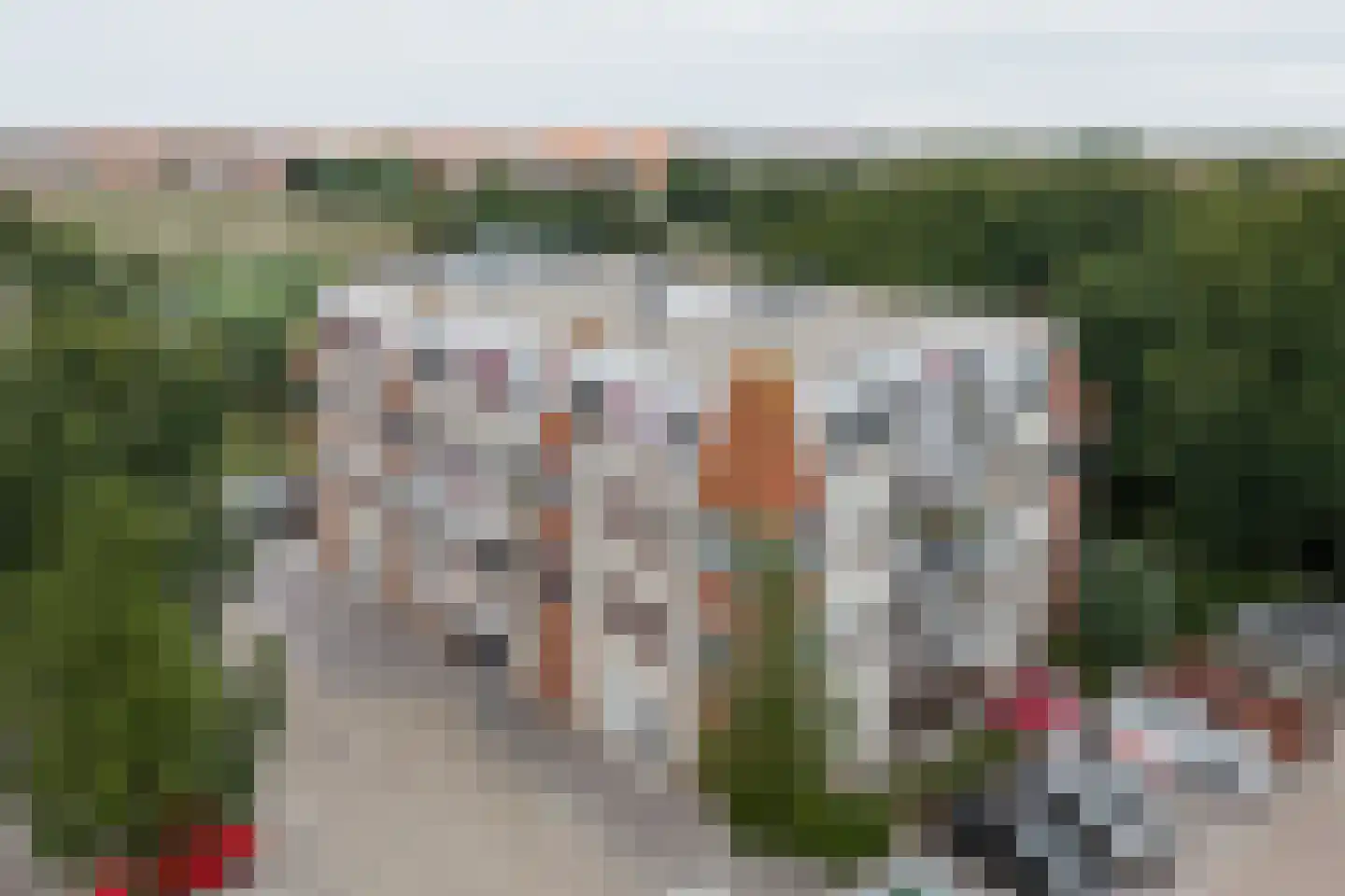 Zeekoet 46 Monster thumbnail 27
