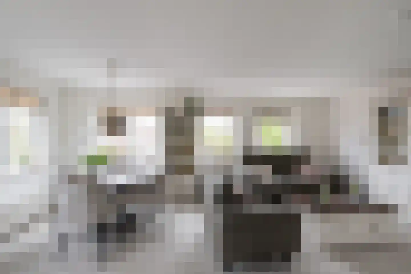 Zeekoet 46 Monster thumbnail 6
