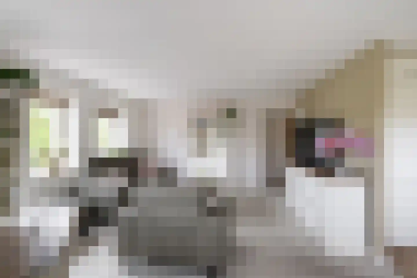 Zeekoet 46 Monster thumbnail 8