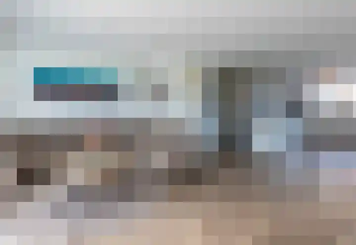 Zeekool 1 Roelofarendsveen thumbnail 10