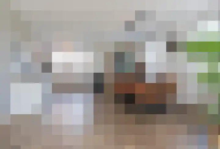 Zeekool 1 Roelofarendsveen thumbnail 11