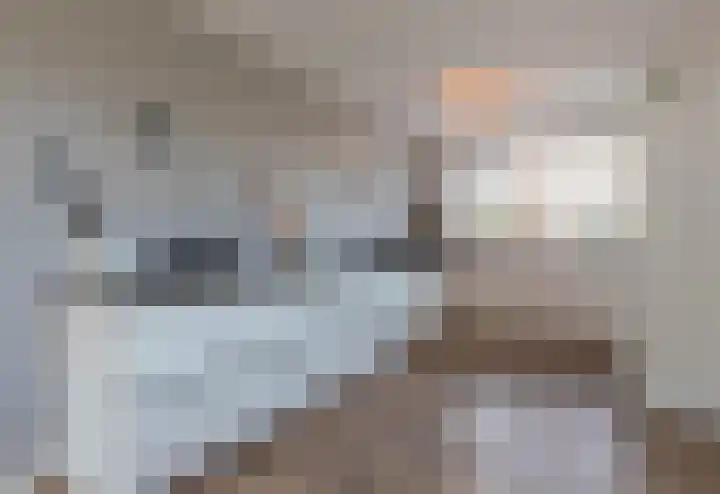 Zeekool 1 Roelofarendsveen thumbnail 12
