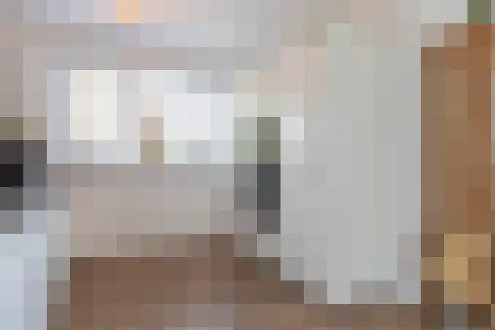 Zeekool 1 Roelofarendsveen thumbnail 13