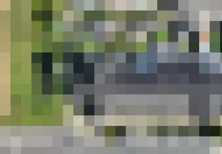 Zeekool 1 Roelofarendsveen thumbnail 16