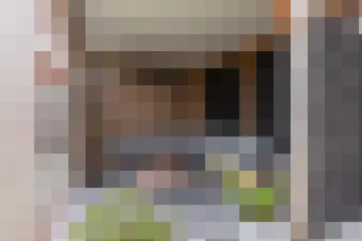 Zeekool 1 Roelofarendsveen thumbnail 20