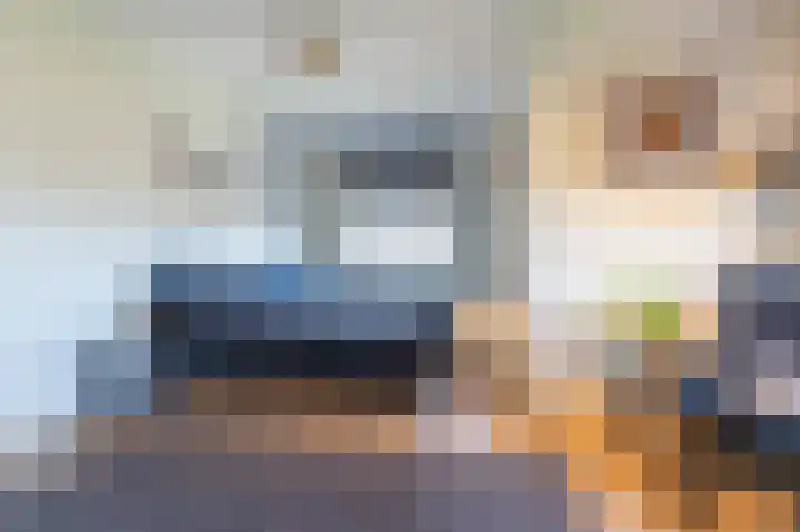 Zeekool 1 Roelofarendsveen thumbnail 24