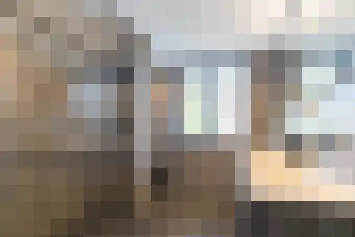 Zeekool 1 Roelofarendsveen thumbnail 25