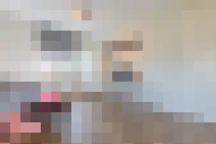 Zeekool 1 Roelofarendsveen thumbnail 27