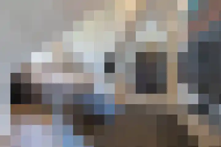 Zeekool 1 Roelofarendsveen thumbnail 33