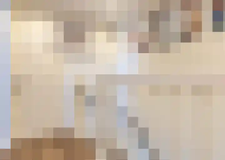 Zeekool 1 Roelofarendsveen thumbnail 35