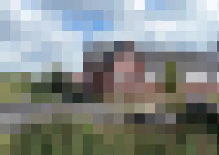 Zeekool 1 Roelofarendsveen thumbnail 36