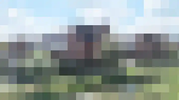 Zeekool 1 Roelofarendsveen thumbnail 38