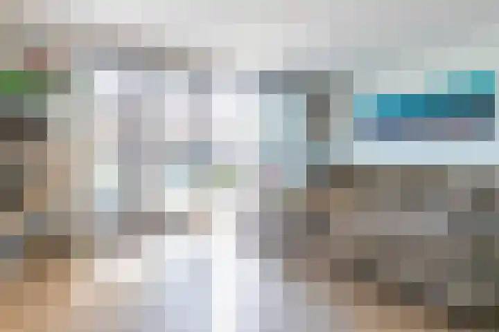 Zeekool 1 Roelofarendsveen thumbnail 4