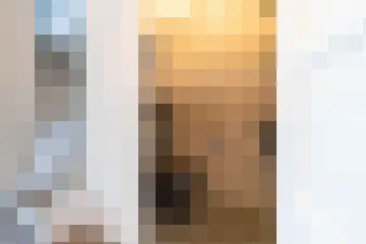 Zeekool 1 Roelofarendsveen thumbnail 8