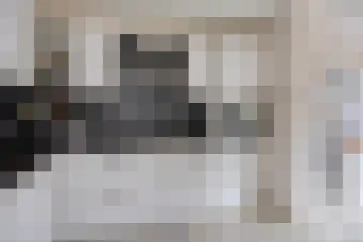Zeekraal 17 Hellevoetsluis thumbnail 10