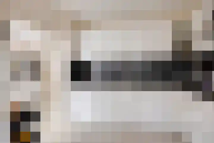 Zeekraal 17 Hellevoetsluis thumbnail 14