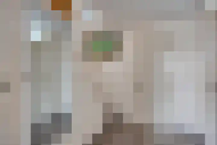Zeekraal 17 Hellevoetsluis thumbnail 18