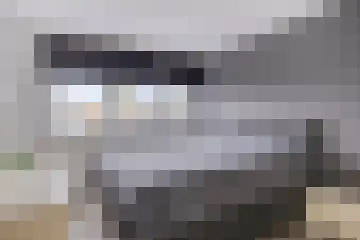 Zeekraal 17 Hellevoetsluis thumbnail 21