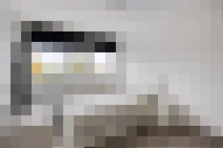 Zeekraal 17 Hellevoetsluis thumbnail 23