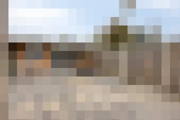 Zeekraal 17 Hellevoetsluis thumbnail 35