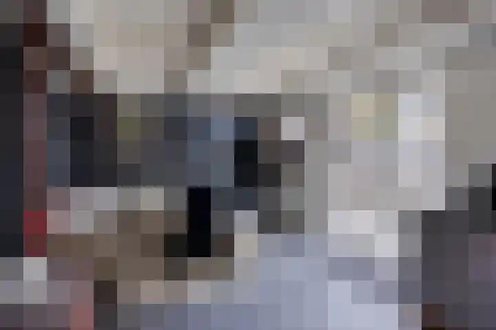 Zeekraal 17 Hellevoetsluis thumbnail 37