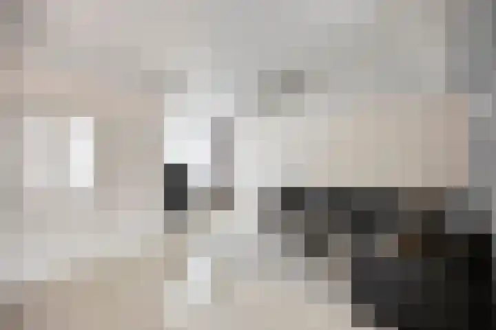 Zeekraal 17 Hellevoetsluis thumbnail 5