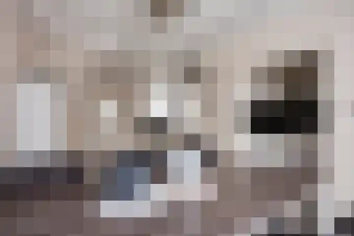 Zeekraal 17 Hellevoetsluis thumbnail 8