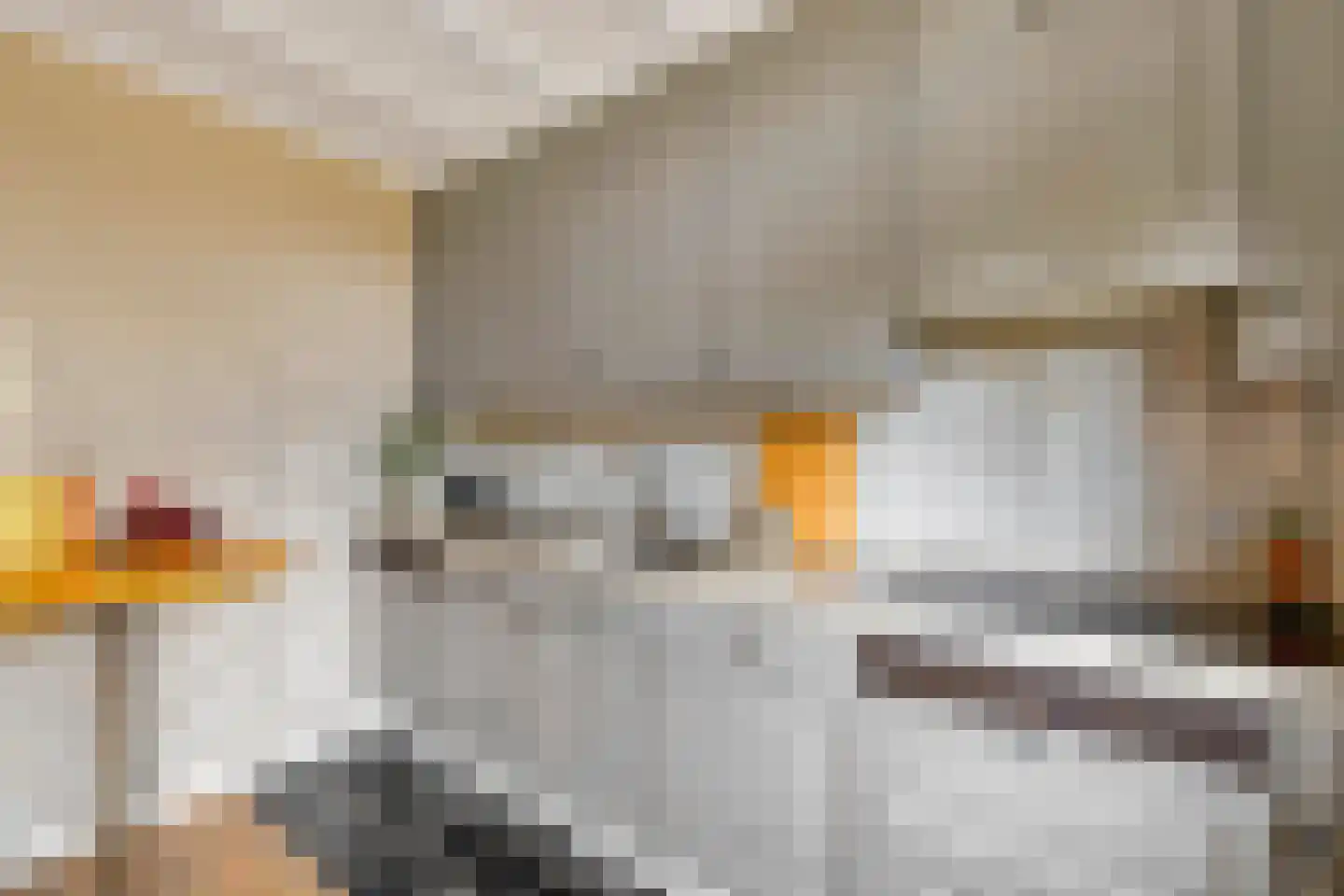 Zeekraal 21 Hellevoetsluis thumbnail 22