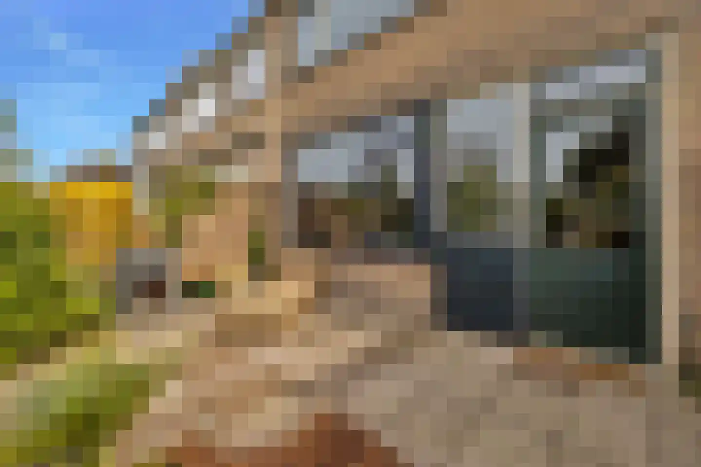 Zeekraal 21 Hellevoetsluis thumbnail 23