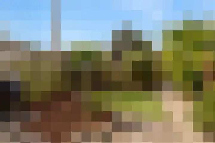 Zeekraal 21 Hellevoetsluis thumbnail 25