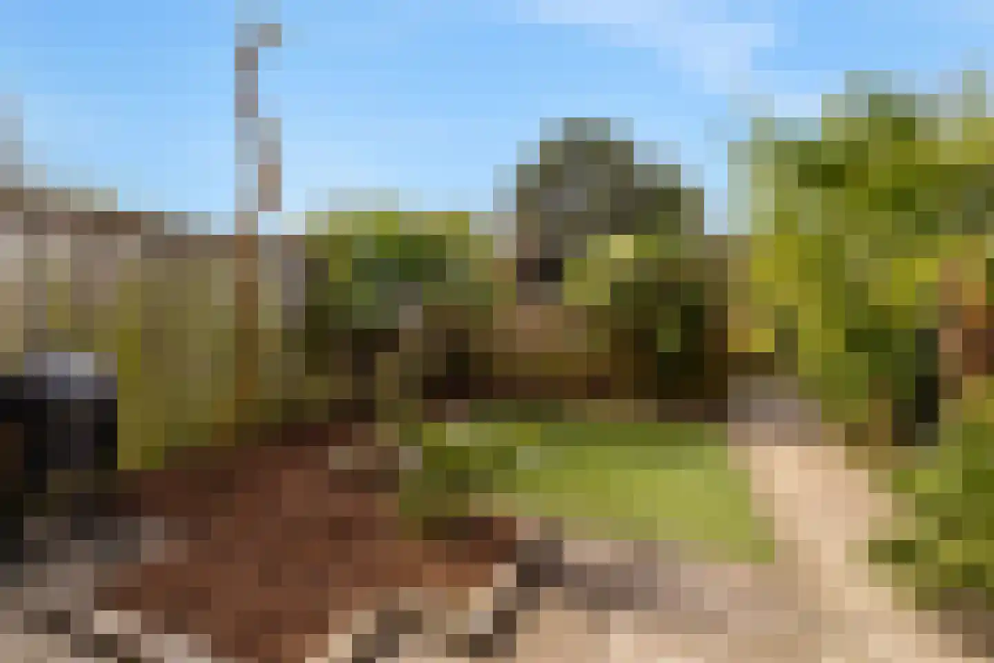 Zeekraal 21 Hellevoetsluis thumbnail 25