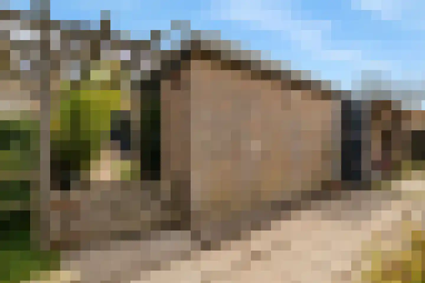 Zeekraal 21 Hellevoetsluis thumbnail 27